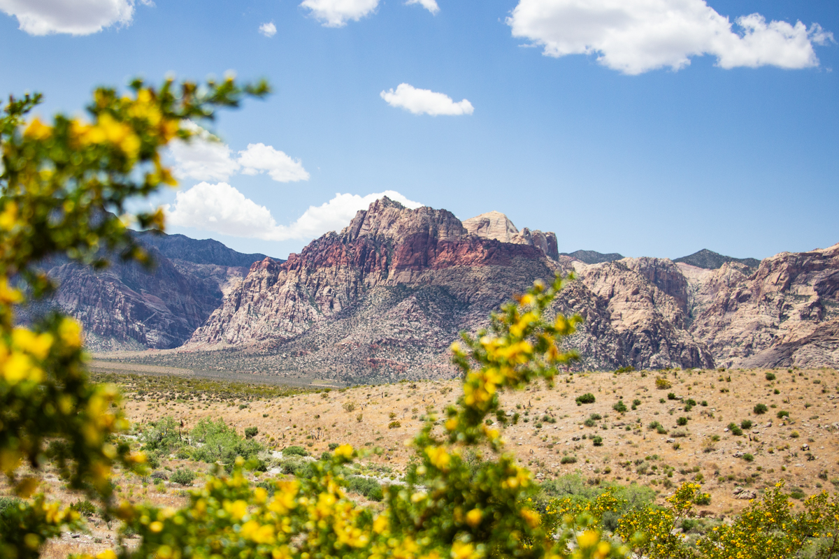 Discover this Baby-Friendly Hike Just West of the Las Vegas Strip